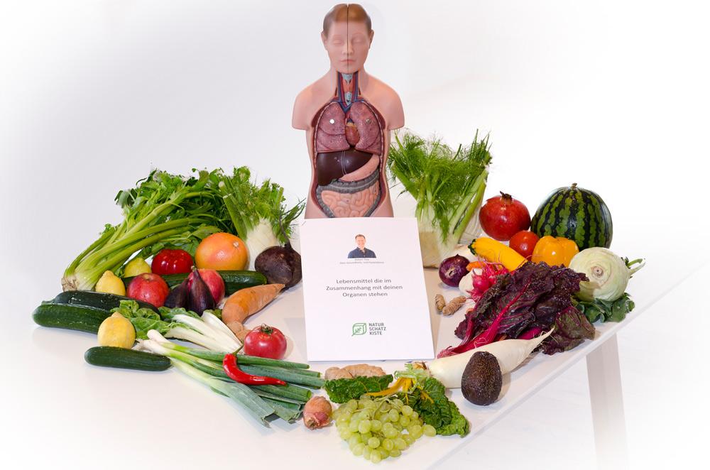 Torso-Lebensmittel-Beziehung